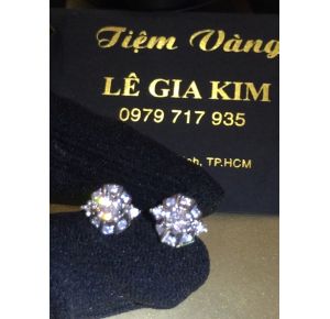 Bông xoàn hột chủ 4.0ly