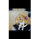 Nhẫn nam kim cương màu-ruby 3.2