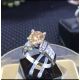 Võ nhẫn xoàn hột chủ 7.2 li giấy chứng nhận GIA